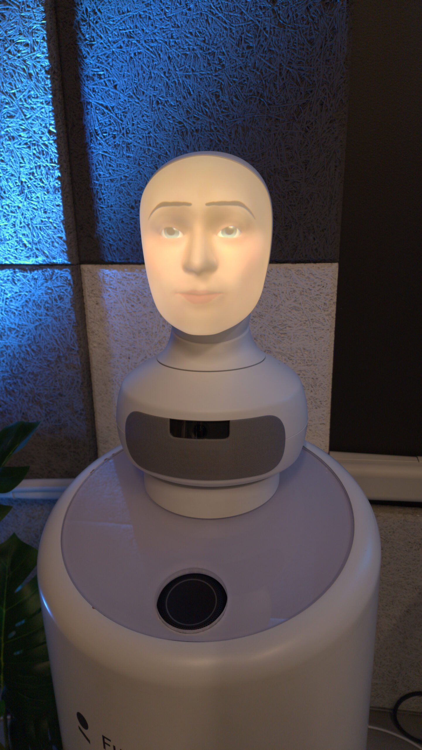 A Furhat Robot Head