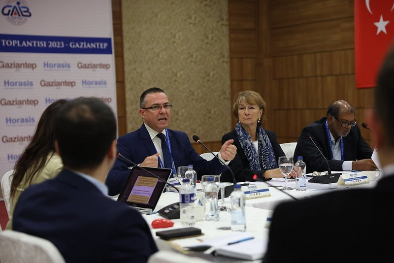 Ciprian-Dan Costea speaking at the Horasis Global Meeting 2023