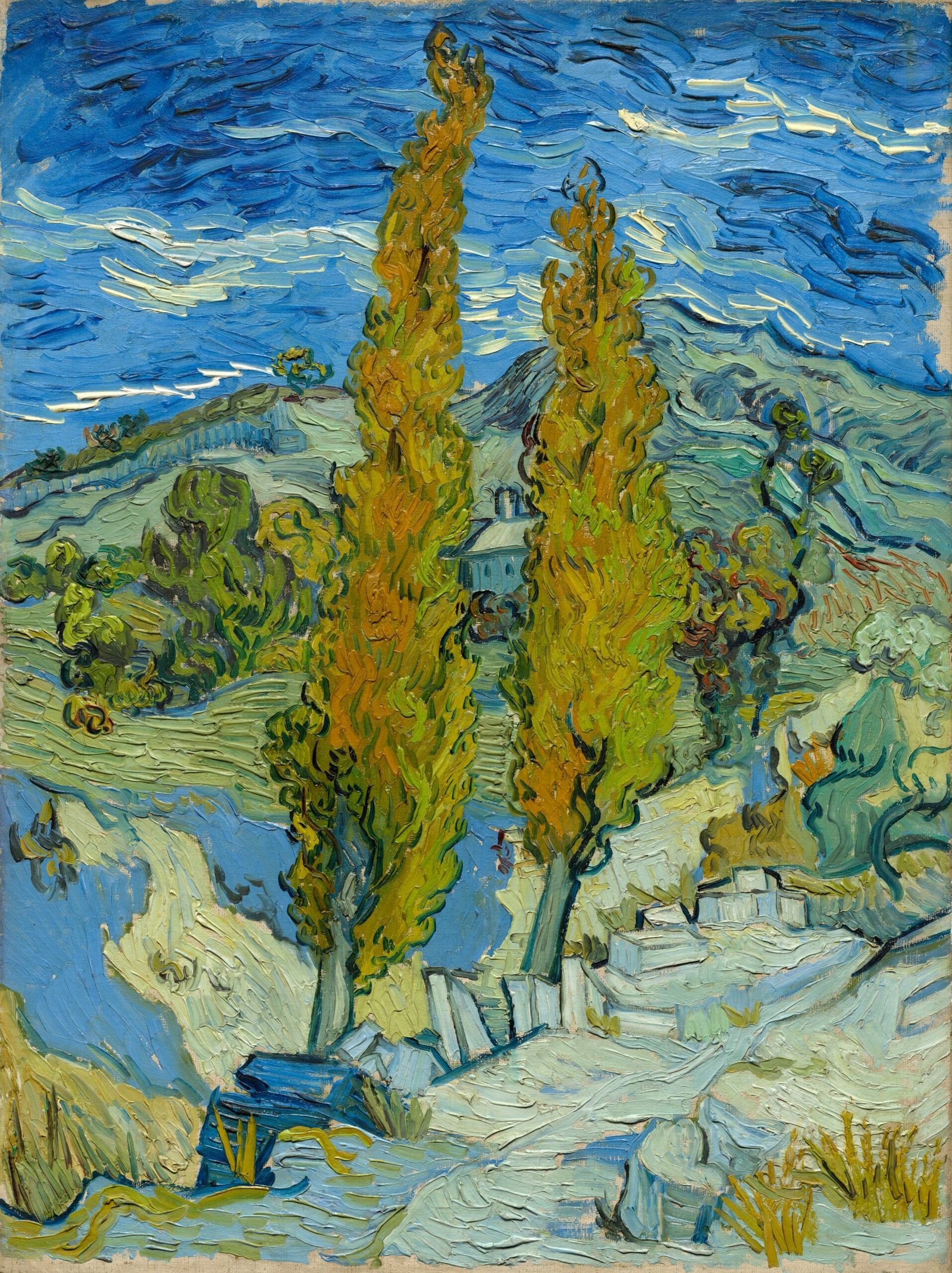 Two Poplars in the Alpilles near Saint-Rémy, by Vincent Van Gogh, Cleveland Museum of Art, 1958.32