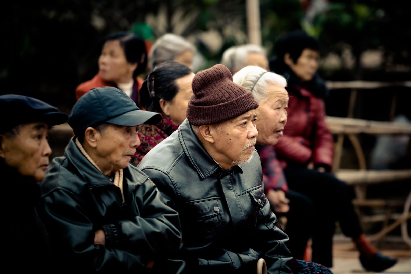 The elderly society