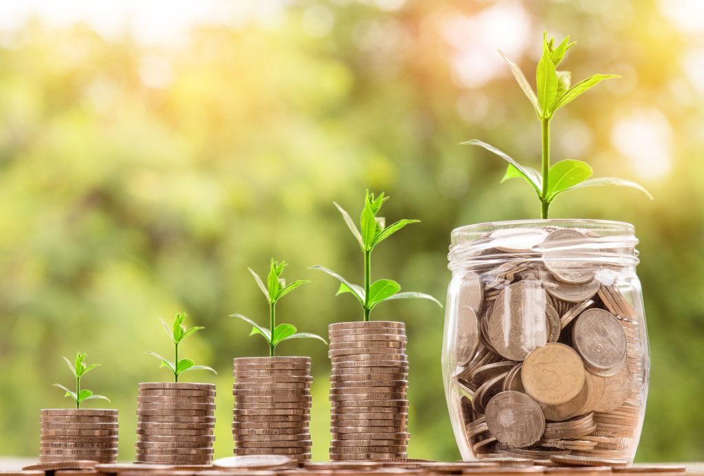 Money saving growth