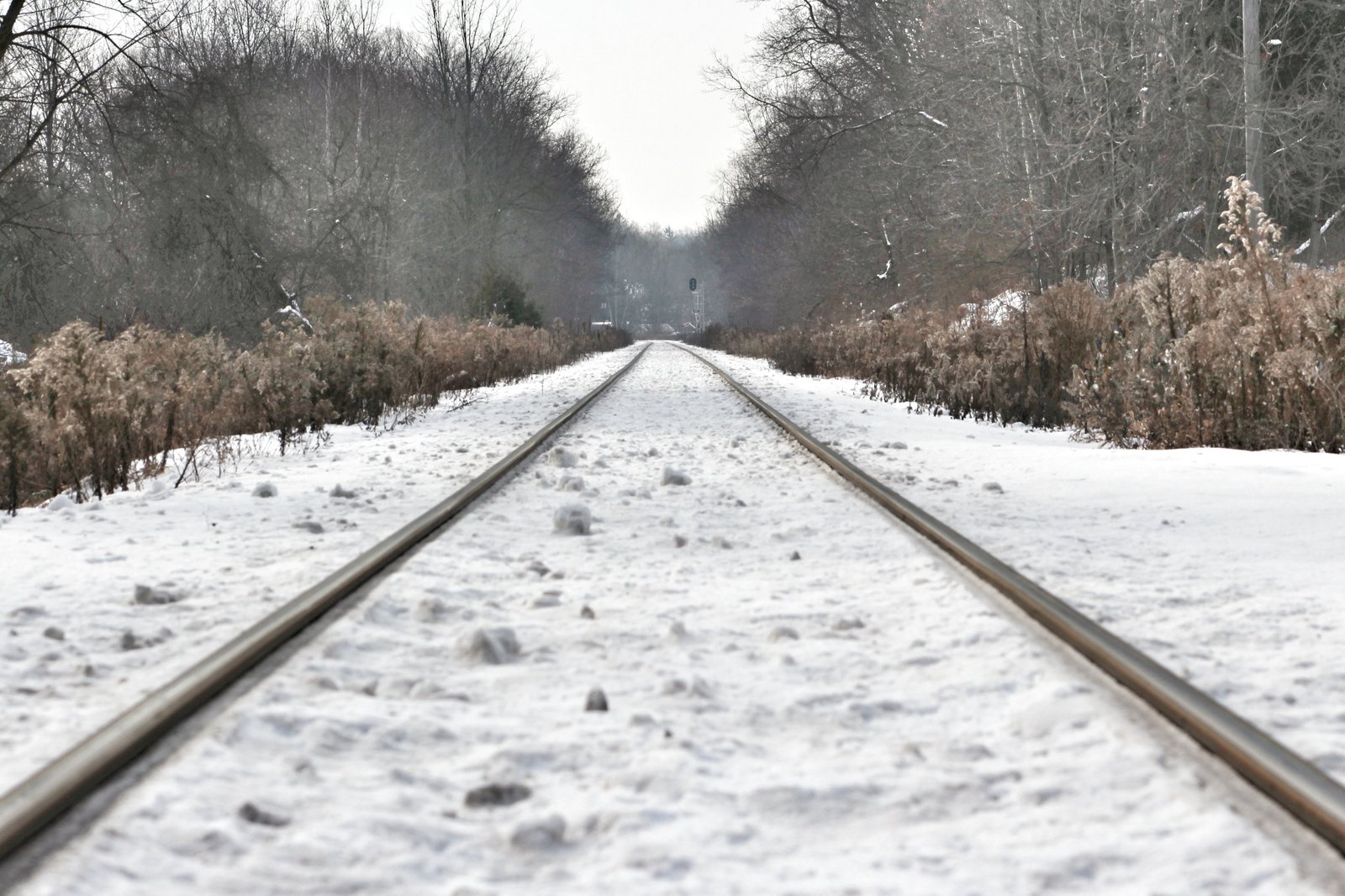 Winter travel (31790475506)